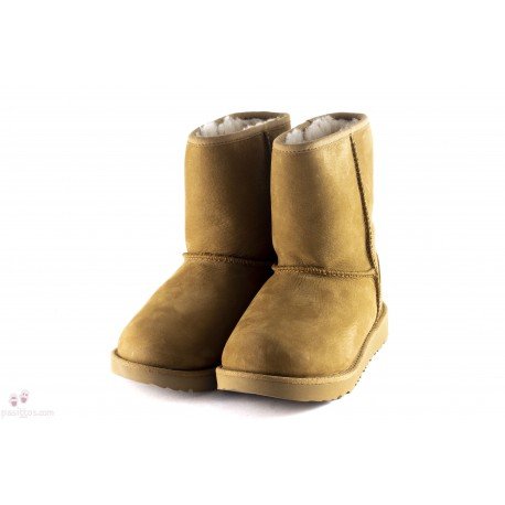 BOTAS UGG CLASSIC WATERPROOF SHORT NOBUCK